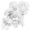 Lush Green Potted Plants with Monstera Leaves in Gray Pots for Indoor Home Decor