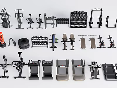 Various Types of Sports Equipment Including Dumbbells Treadmills Weight Benches and Fitness Racks 3d model