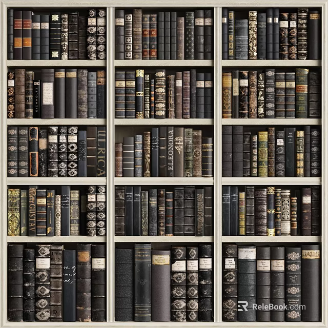 Classic Bookcase Interior Filled With Various Colored Spine Books And Organized Shelves 3d model 