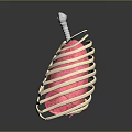 Anatomical Thoracic Medical Model With Rib Cage Pink Lungs And Trachea