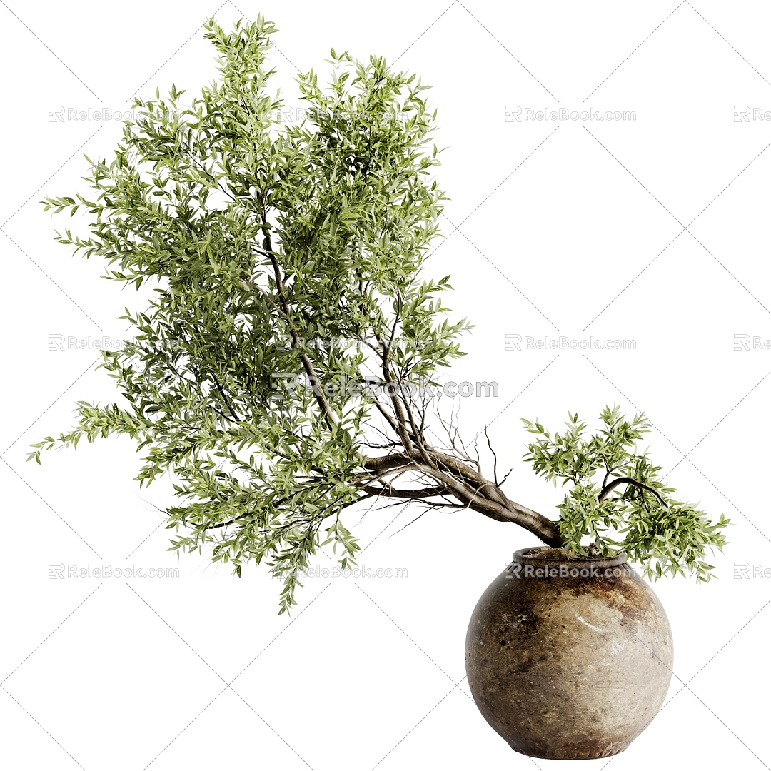 Pot Plant 3d model