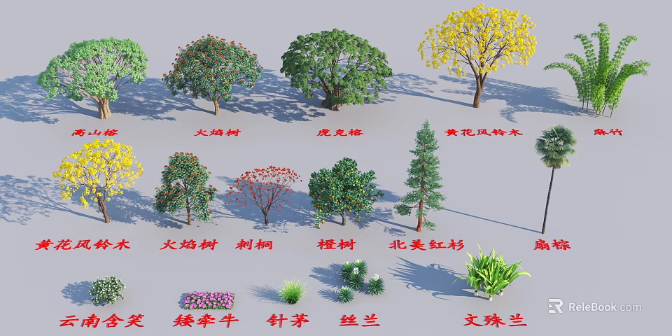 Diverse Arbor Tree Species Featuring Phoenix Flame Golden Trumpet And Coast Redwood 3d model 