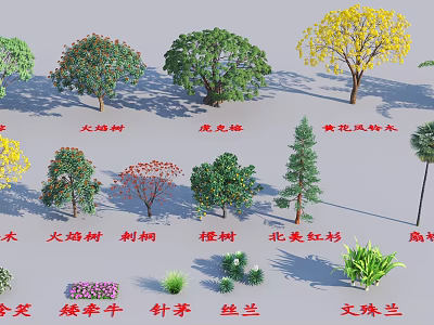 Diverse Arbor Tree Species Featuring Phoenix Flame Golden Trumpet And Coast Redwood 3d model