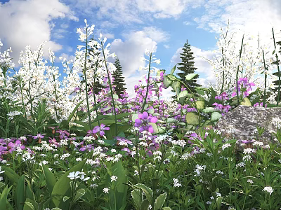 Vibrant White and Purple Flowers with Green Leaves Under Blue Sky and Tall Pine Trees 3d model