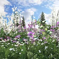 Vibrant White and Purple Flowers with Green Leaves Under Blue Sky and Tall Pine Trees