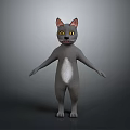Gray 3D Cat Model With Yellow Eyes Pink Ears Standing Upright And White Belly