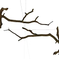 Natural Wood Branches With Twisted Shape And Rustic Texture For Decorative Projects 3d model