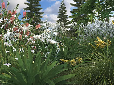 Colorful Garden Flowers And Plants With White Pink Blooms And Lush Green Foliage 3d model