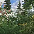 Colorful Garden Flowers And Plants With White Pink Blooms And Lush Green Foliage