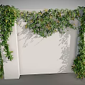 Lush Green Vines Climbing On White Wall With Dense Leaves And Shadows