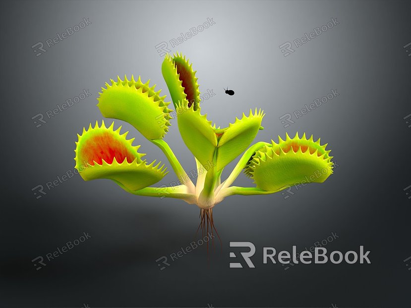 cannibal flower cannibal flower cartoon cannibal flower anime cannibal flower stylized cannibal flower model