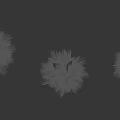 Three Tall Palm Trees With Lush Green Fronds Isolated On Black Background