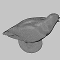 Seagull Taxidermy Mount On Wooden Base With Dark Background
