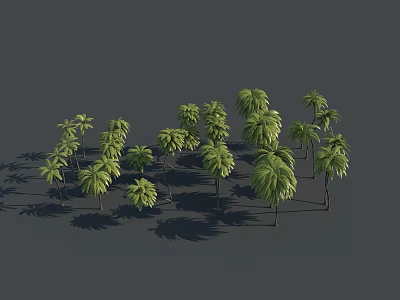 Palm Trees With Green Leaves And Multiple Trunks Against Gray Background 3d model