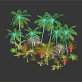 Lush Tropical Plants With Palm Trees And Green Foliage In Natural Setting