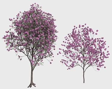 Wind Suzuki Magnolia pink Trumpet Flower Tree Peach Blossom Cherry Blossom 3d model