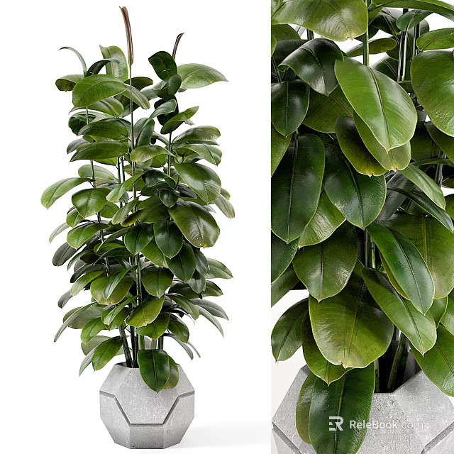Lush Green Potted Plant With Vibrant Leaves In Ceramic Pot For Indoor Decor 3d model 