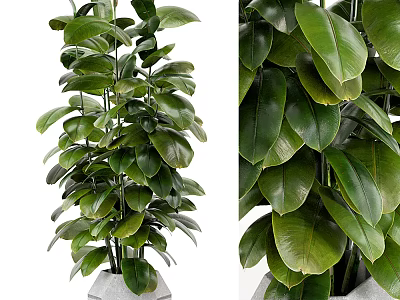 Lush Green Potted Plant With Vibrant Leaves In Ceramic Pot For Indoor Decor 3d model