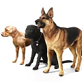 Three Friendly Dogs Standing Together Yellow Black Labrador And German Shepherd