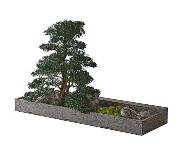 New Chinese Plant Box 3d model