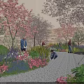 Vibrant Pink Cherry Blossom Trees Purple Pink Flowers In Garden With Gravel Path And People