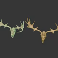 Two Decorative Deer Skull Mounts With Large Antlers On White Background 3d model