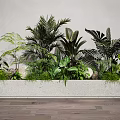 Lush Tropical Plant Combination With Diverse Green Foliage In Concrete Planter