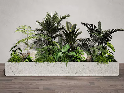 Lush Tropical Plant Combination With Diverse Green Foliage In Concrete Planter 3d model