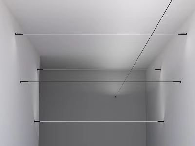 Minimalist White Gray Interior With Ceiling Mounted Metal Rods And Black Fixtures For Clothing Storage 3d model