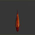 Modern Fish Goldfish Carp Red Carp 3d model