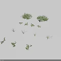 Various Small Flowers And Green Grass With Blue Blooms On White Background