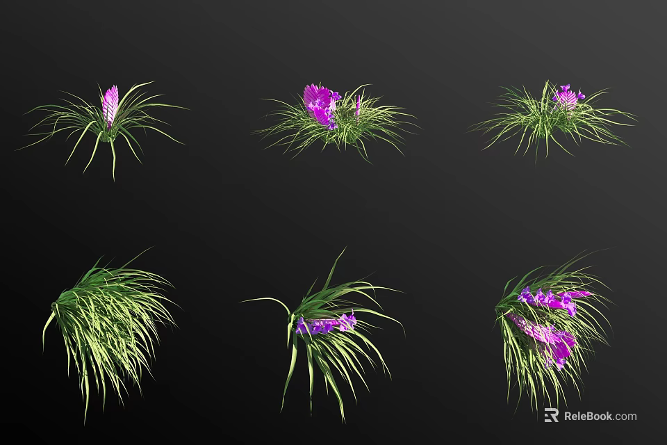 Purple Flowers And Green Grass Plants In Various Forms Displayed On Black Background 3d model 