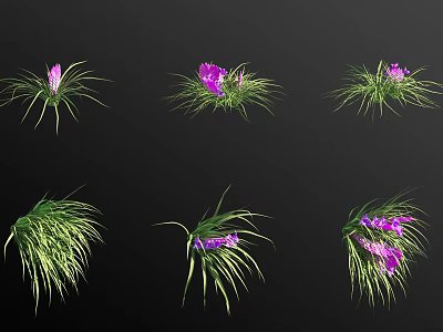 Purple Flowers And Green Grass Plants In Various Forms Displayed On Black Background 3d model