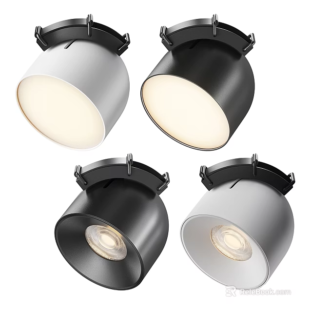 Sleek Modern Black And White Ceiling Mounted Downlights And Spotlights Indoor Lighting Fixtures 3d model 