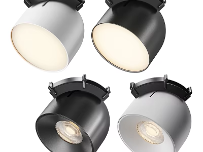 Sleek Modern Black And White Ceiling Mounted Downlights And Spotlights Indoor Lighting Fixtures 3d model