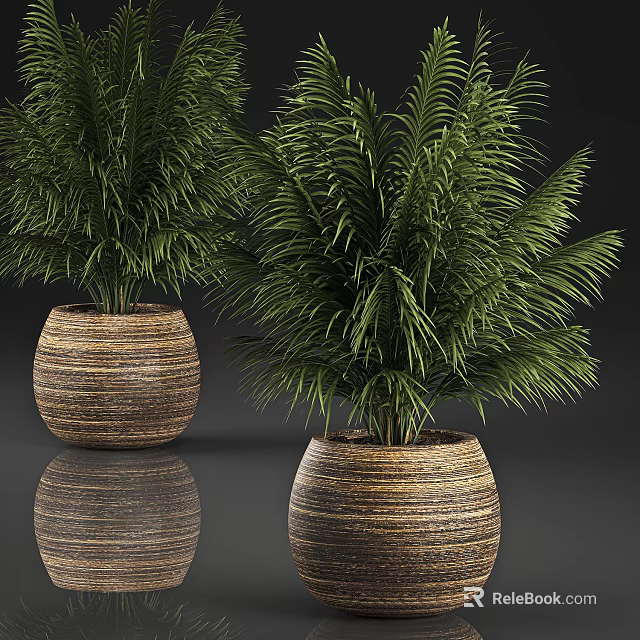 Lush Green Palm Potted Plants With Woven Brown Pots On Reflective Surface 3d model 