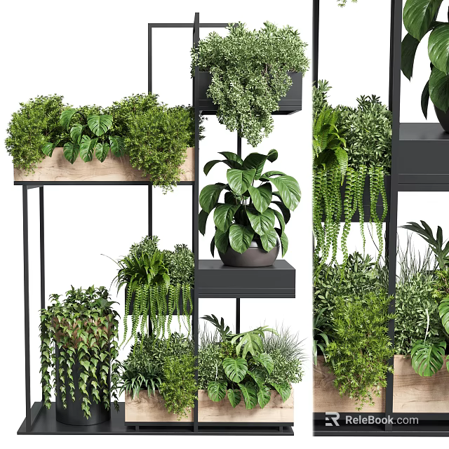 Lush Various Potted Plants Arrangement On Multi tiered Metal And Wooden Shelves Indoor 3d model 