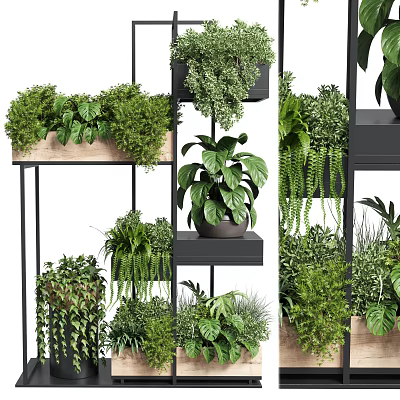 Lush Various Potted Plants Arrangement On Multi tiered Metal And Wooden Shelves Indoor 3d model