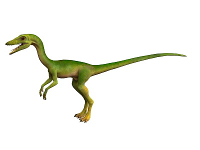 Green And Yellow Prehistoric Dinosaur With Long Tail And Sharp Teeth 3d model