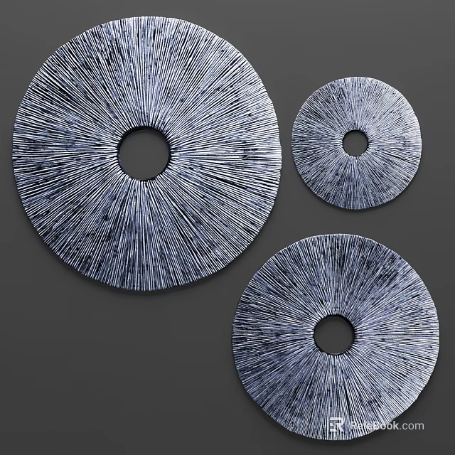 Modern Silver Circular Wall Decor With Radial Texture Three Pieces Hanging Art 3d model