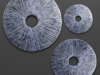Modern Silver Circular Wall Decor With Radial Texture Three Pieces Hanging Art 3d model
