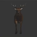 Detailed Brown Deer With Large Antlers Walking On Dark Background Sculpture