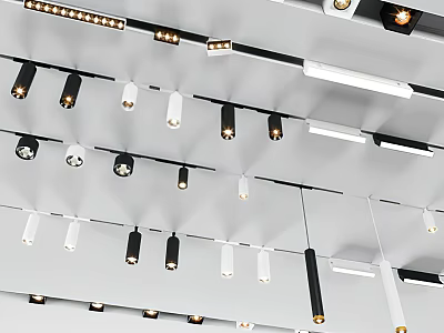 Modern Downlights And Spotlights Ceiling Mounted With Various Styles And Colors 3d model