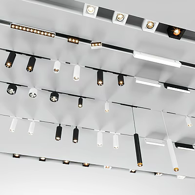 Modern Downlights And Spotlights Ceiling Mounted With Various Styles And Colors 3d model