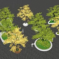 Multiple Tree Planters With Yellow Green Foliage And People Resting On Black Paved Ground