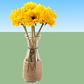 Plant Vase 3d model