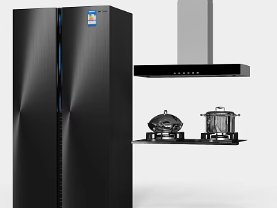 Modern Kitchen Appliances Featuring Black Refrigerator Range Hood And Gas Stoves 3d model