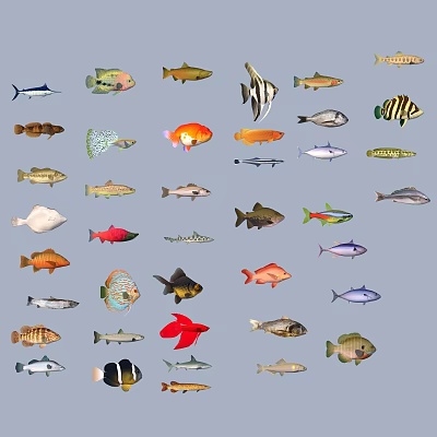 Various Colorful Aquatic Animals Featuring Different Fish And Marine Species 3d model