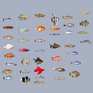 fish freshwater fish aquatic animal 3d model