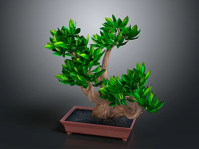 Elegant Bonsai Plant With Green Leaves And Brown Trunk In Square Pot 3d model